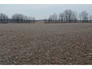 Property photo 16 - LAND AUCTION, 77 Acres offered in 3 Tracts
